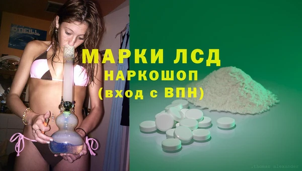 PSILOCYBIN Нязепетровск
