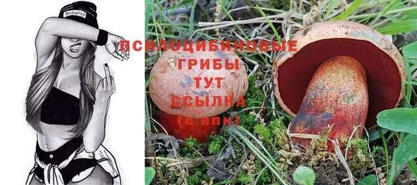 кристаллы Няндома