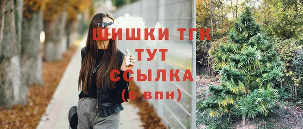 PSILOCYBIN Нязепетровск