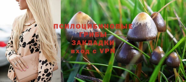 кристаллы Няндома
