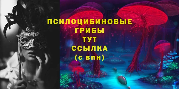 кристаллы Няндома